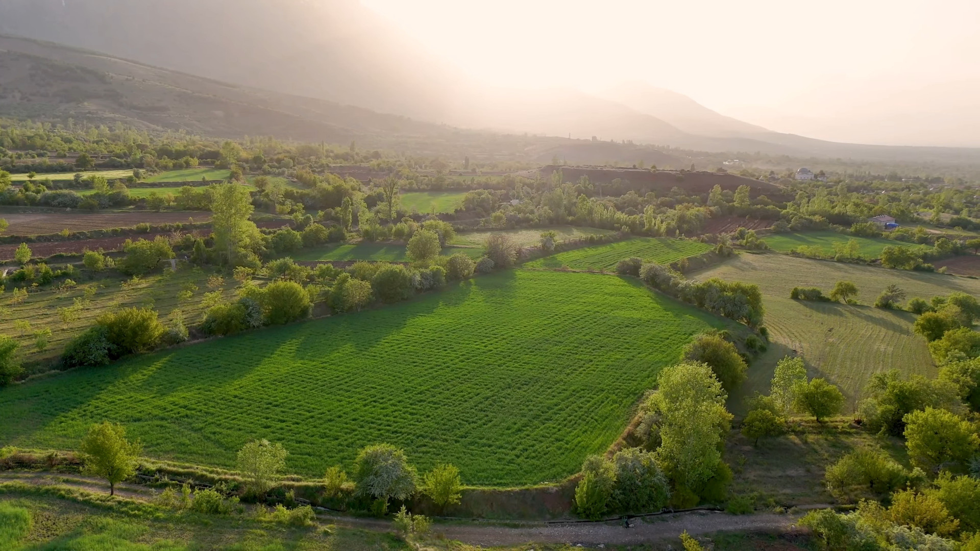 Country Tax Video